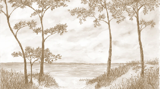 Papier peint Pins maritimes et dunes - Sépia - Muralconcept