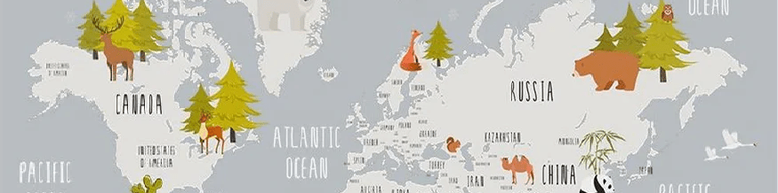 Papier peint chambre enfant map animaux gris clair - Muralconcept