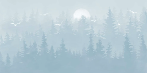 Papier peint chambre enfant forêt scandinave bleu moonlight