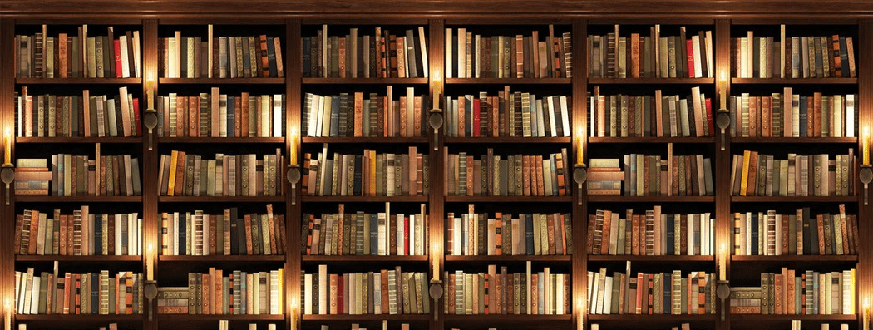 Papier peint trompe l'oeil Authentique Bibliothèque - Muralconcept