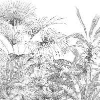 Papier peint tropical gravure monochrome