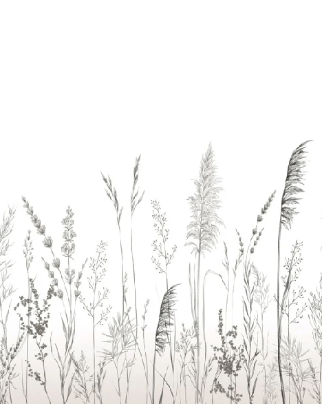 Papier peint poétique pampa - Muralconcept