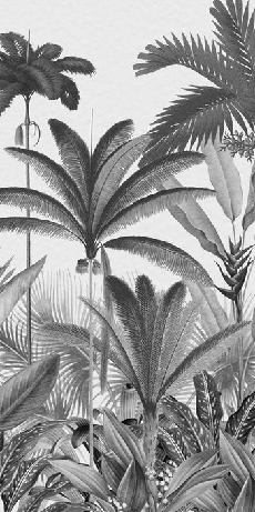 Papier peint panoramique jungle tree