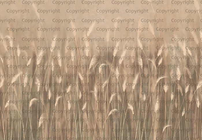 Papel pintado panorámico hierbas silvestres beige