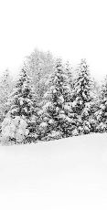 Papier peint panoramique évasion hivernale - Muralconcept