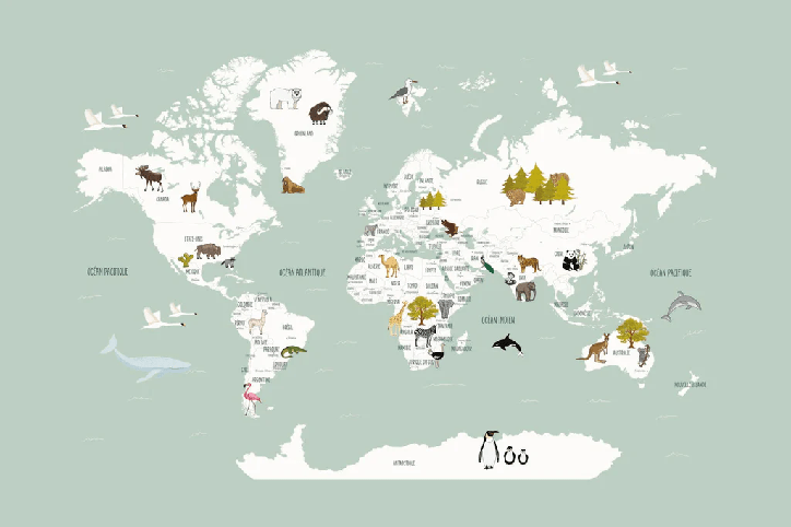 Papel pintado Mapa del mundo en francés para niños verde