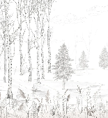 Papier peint forêt noir et blanc – Douceur des Bois