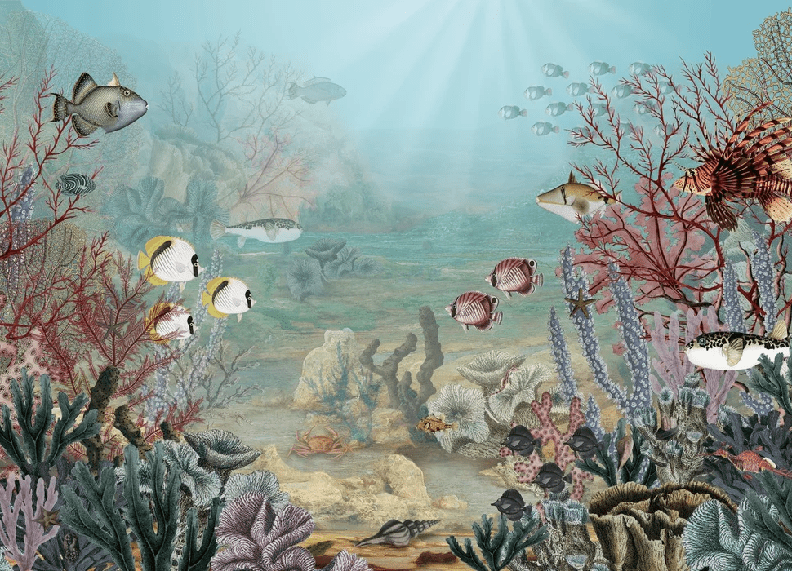 Papier peint vie sous la mer