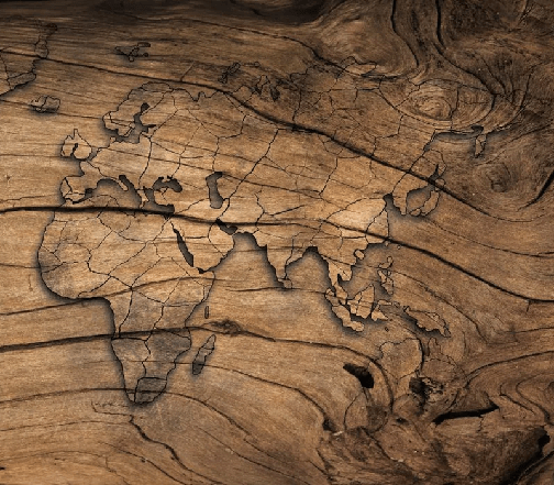 Papier peint Wood & Map
