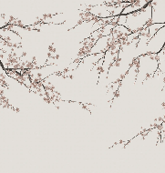 Papier peint panoramique Sakura beige - Muralconcept