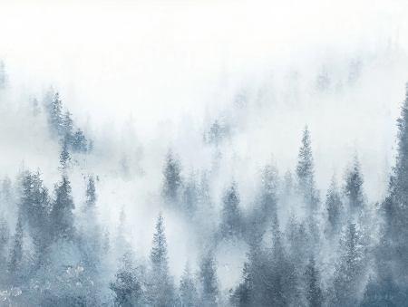 Papel pintado restaurante abeto niebla azul acuarela