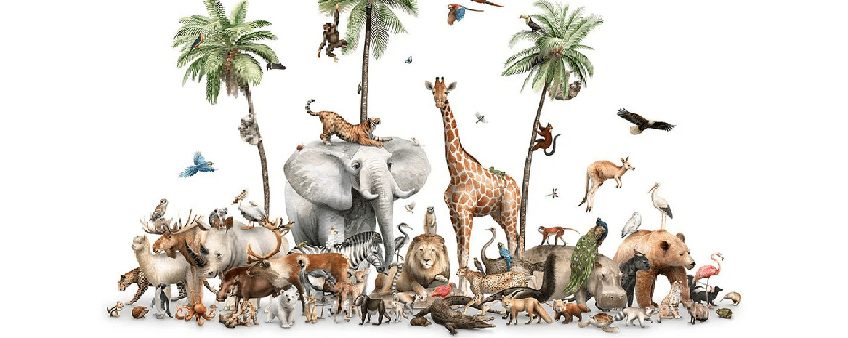 Papier peint animaux terre des lions, XXL, tendance