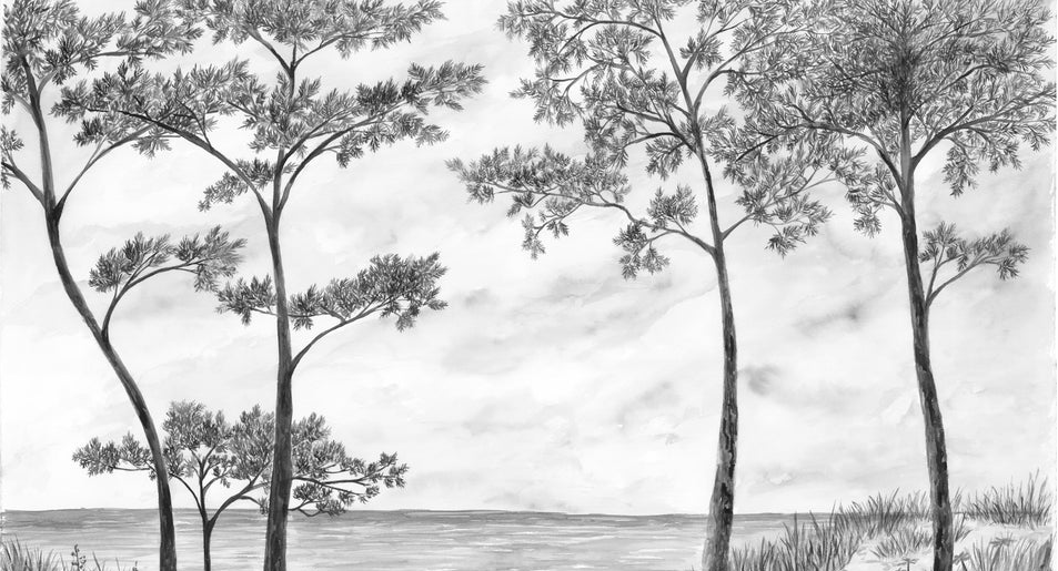 Papier peint Pins maritimes et dunes - Noir et blanc - Muralconcept