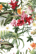 Papier peint tropical & Fleurs colorées, XXL, tendance