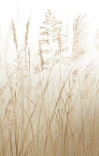 Papel pintado para baño con campos de trigo beige