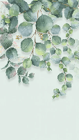 Papier peint wc nature plante Eucalyptus - Muralconcept