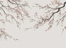 Papier peint panoramique Sakura beige