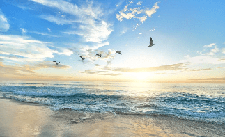 Papel pintado Playa paradisíaca