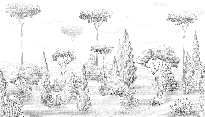 Papel pintado panorámico bosque antiguo