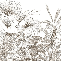 Papier peint tropical gravure monochrome