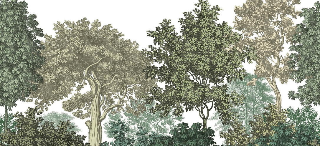 Papier peint paysage forêt gravure - Muralconcept