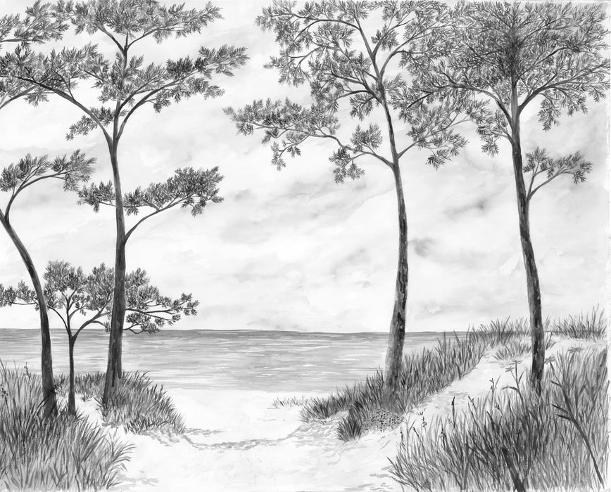 Papel pintado Pinos marítimos y dunas - Blanco y negro