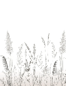 Papel pintado poético pampa