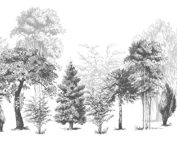 Papel pintado para baño con motivos naturales en blanco y negro