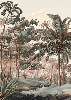 Papier peint paysage Célèbes terra