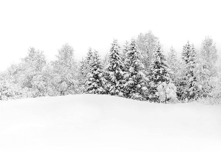 Papier peint panoramique évasion hivernale - Muralconcept
