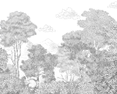 Papier peint panoramique Forêts et Monts Crayonnés