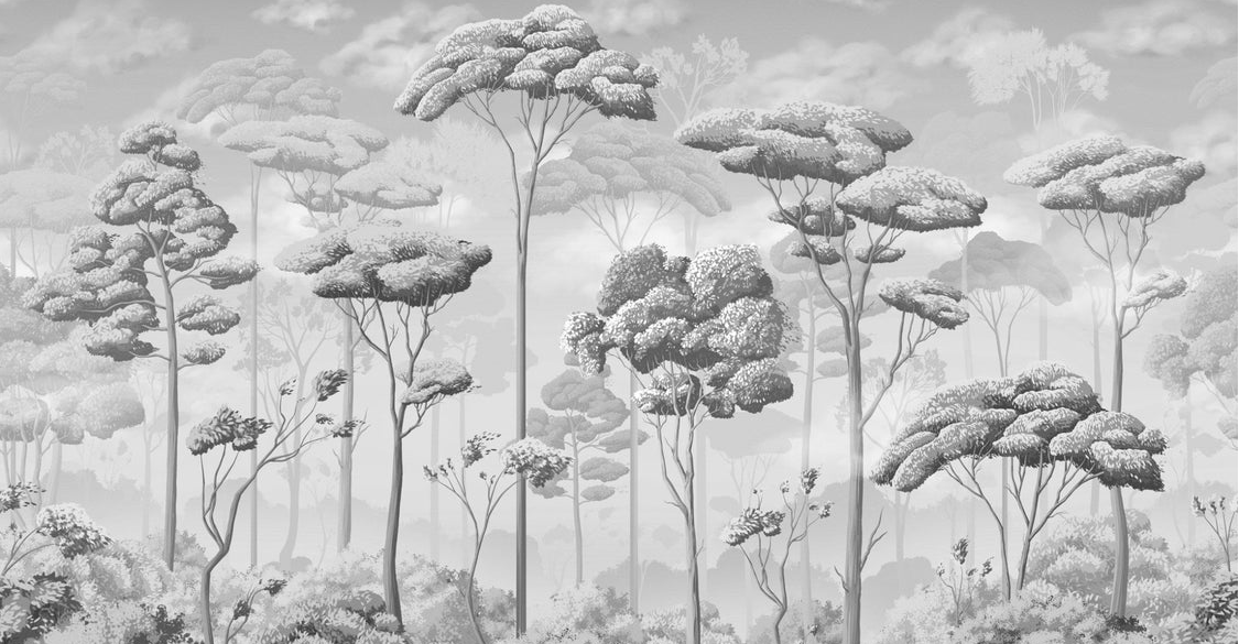 Papier peint panoramique pinèdes noir et blanc