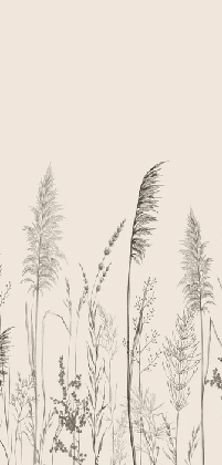 Papier peint panoramique prairie sauvage - Muralconcept
