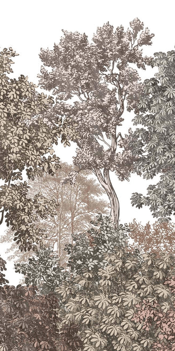 Papier peint paysage forêt gravure rosé