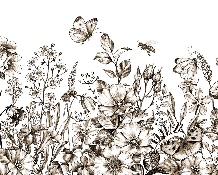 Papier peint champêtre fleur sépia - Muralconcept
