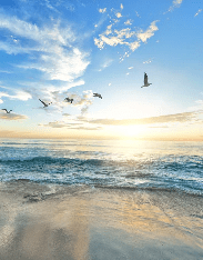 Papel pintado Playa paradisíaca