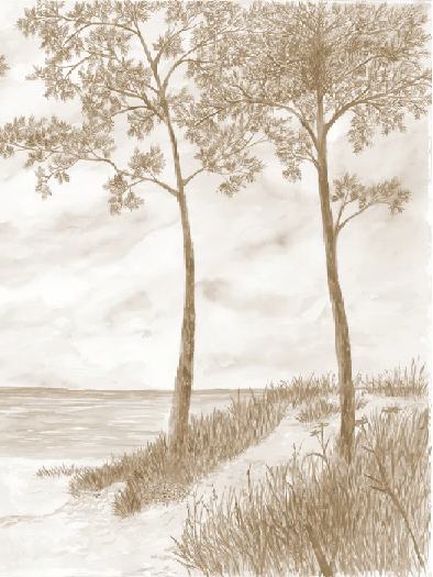 Papel pintado Pinos marítimos y dunas - Sepia