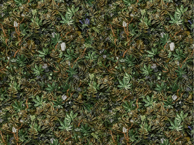 Papel pintado panorámico en trampantojo vegetal