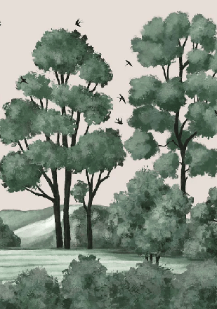 Papier peint paysage rivière forêt