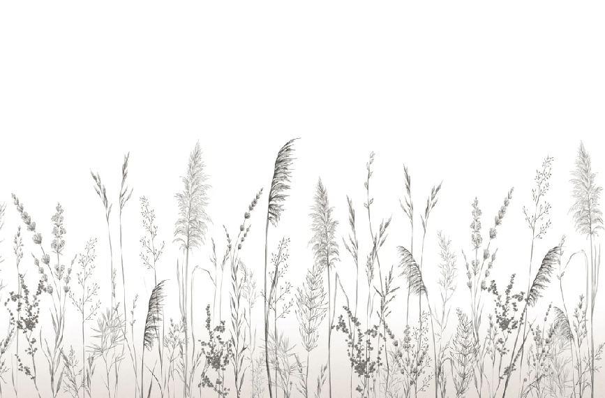 Papier peint poétique pampa - Muralconcept