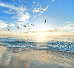 Papier peint Plage Paradisiaque - Muralconcept