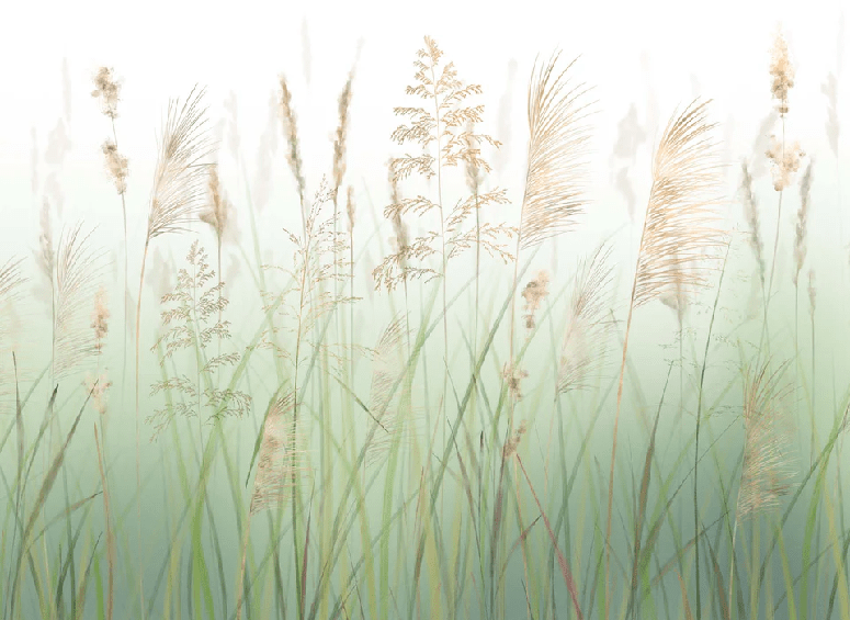 Fondo de flores de campo de trigo verde