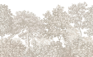 Papier peint paysage forêt gravure beige