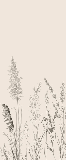 Papier peint panoramique prairie sauvage - Muralconcept