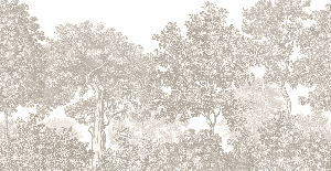 Papier peint paysage forêt gravure beige - Muralconcept