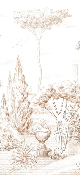 Papel pintado de pino sepia estilo romano