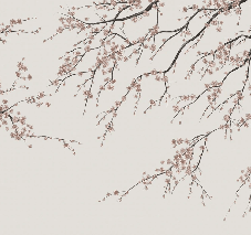 Papier peint panoramique Sakura beige - Muralconcept
