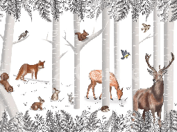 Papier peint bois enchanté et ses animaux