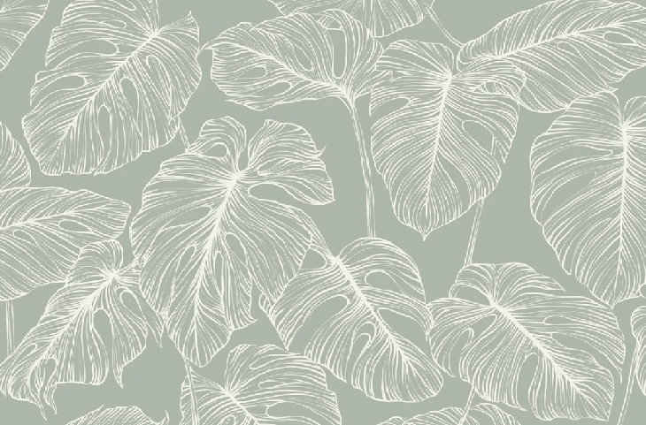 Tapete Monstera-Blatt Salbei - Muralconcept