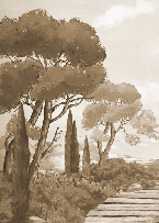 Papel pintado «Paseo por las calas» monocromo